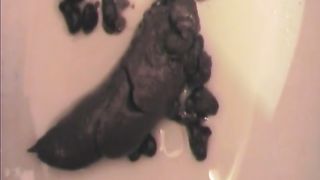 Shit over the toilet