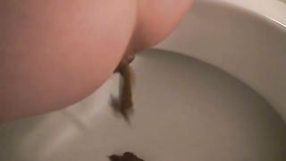 Quick poop in the toilet
