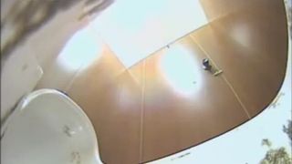 Long turd in public toilet