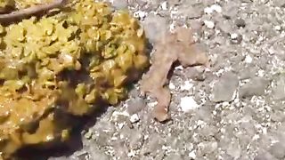 Sexy Asian girl shitting outdoor