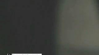 Poop on wooden floor