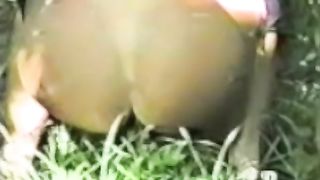 Vintage camping video