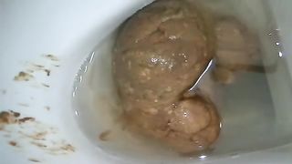 Big turd in the toilet