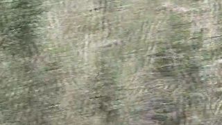 Poop in the middle of the road