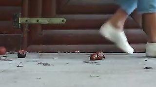 Poop on the front porch