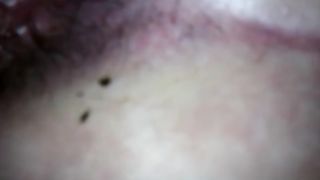 Massive turd from wife