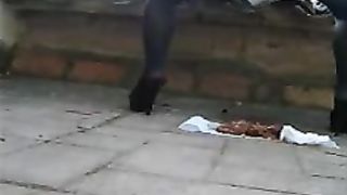 Shitting on the roof