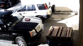 Woman caught pooping in public