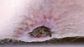 Blonde girl pooping in close up