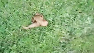 Brunette girl shitting outdoor