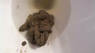Reverse toilet poop