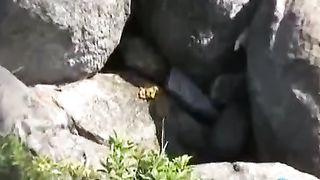 Outdoor Japanese girl