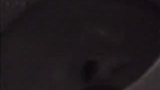 Shit over the toilet