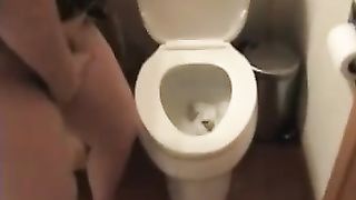 Shit over the toilet