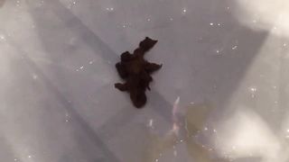 Mess around in the shower