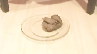 Superb compilation