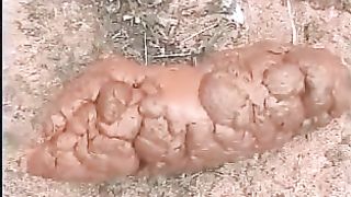 Red crap on the ground