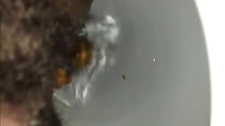 HEavy turds in the toilet