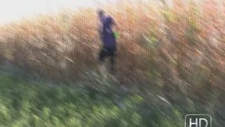 Scat in cornfield - HD