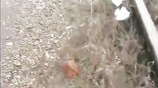 Shit and poop on a rail road