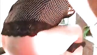 Compilation of girls pooping