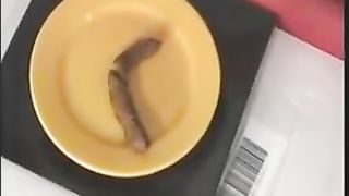 Shit in a yellow plate