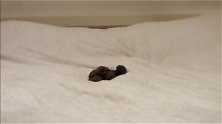 Sexy blonde girl pooping