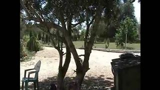 Lesbians peeing on each other