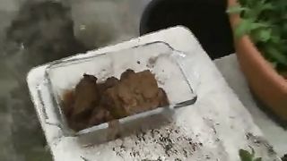 Sexy girl is pooping outdoor