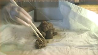 Hot brunette pooping