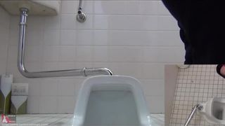Hidden camera toilet