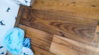 Amateur girl Katelyn taking a piss