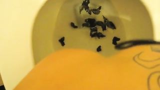 Shitting in the toilet