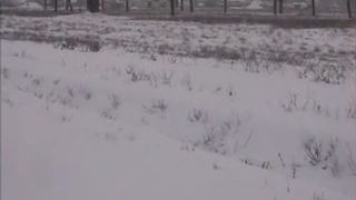 Compilation of girls pooping