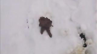 Compilation of girls pooping