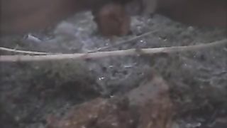 Shit and piss outdoor