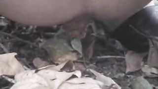 Shit in a park