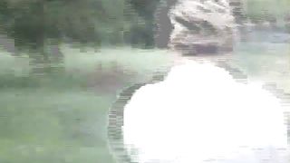 Shit in the middle of a field