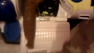 Poop on kids toys