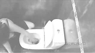 Hidden camera toilet