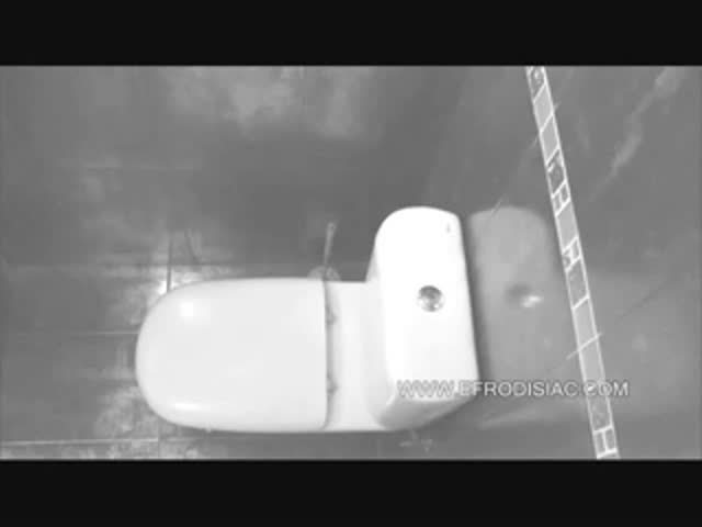 Hidden camera toilet