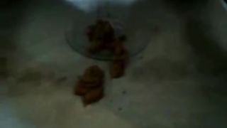 Poop on a glass plate