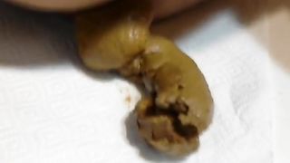 girls dirty asshole taking a poop