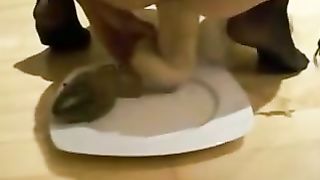 Eating scat for the first time