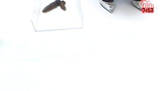 Poop in a white box