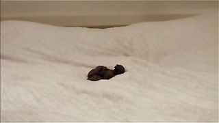 Beautiful blonde pooping