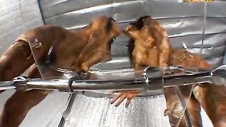 Japanese girls licking scat