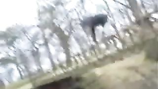 Diarheea from a bridge