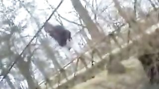 Diarheea from a bridge