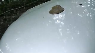 Diarheea on the car